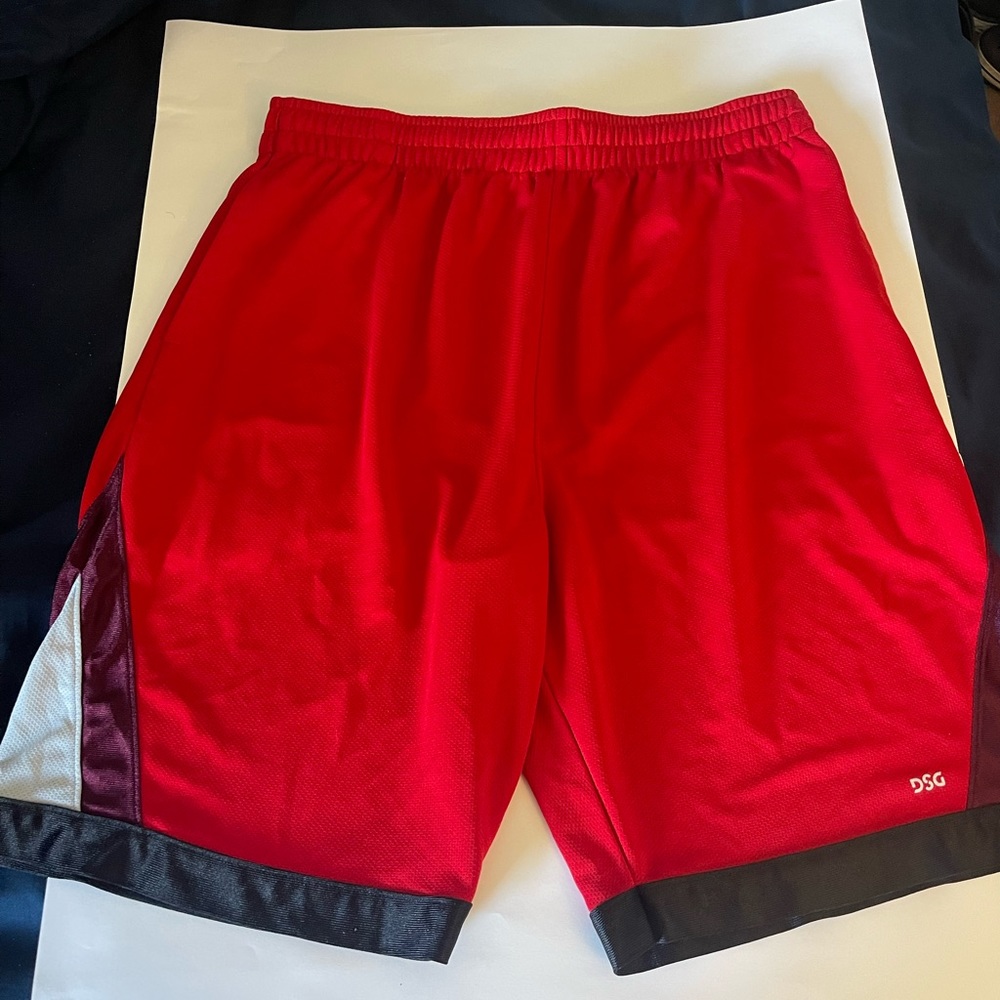 DSG Basketball shorts
